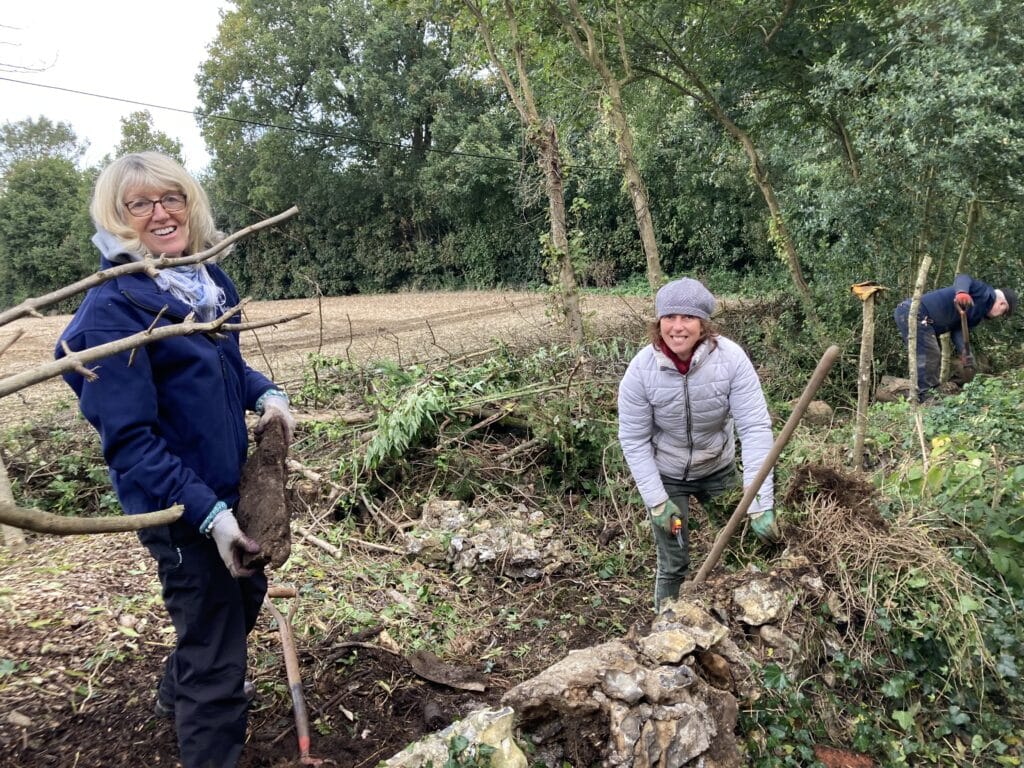 Hedgelaying at St Peter and St Paul's Church Chaldon